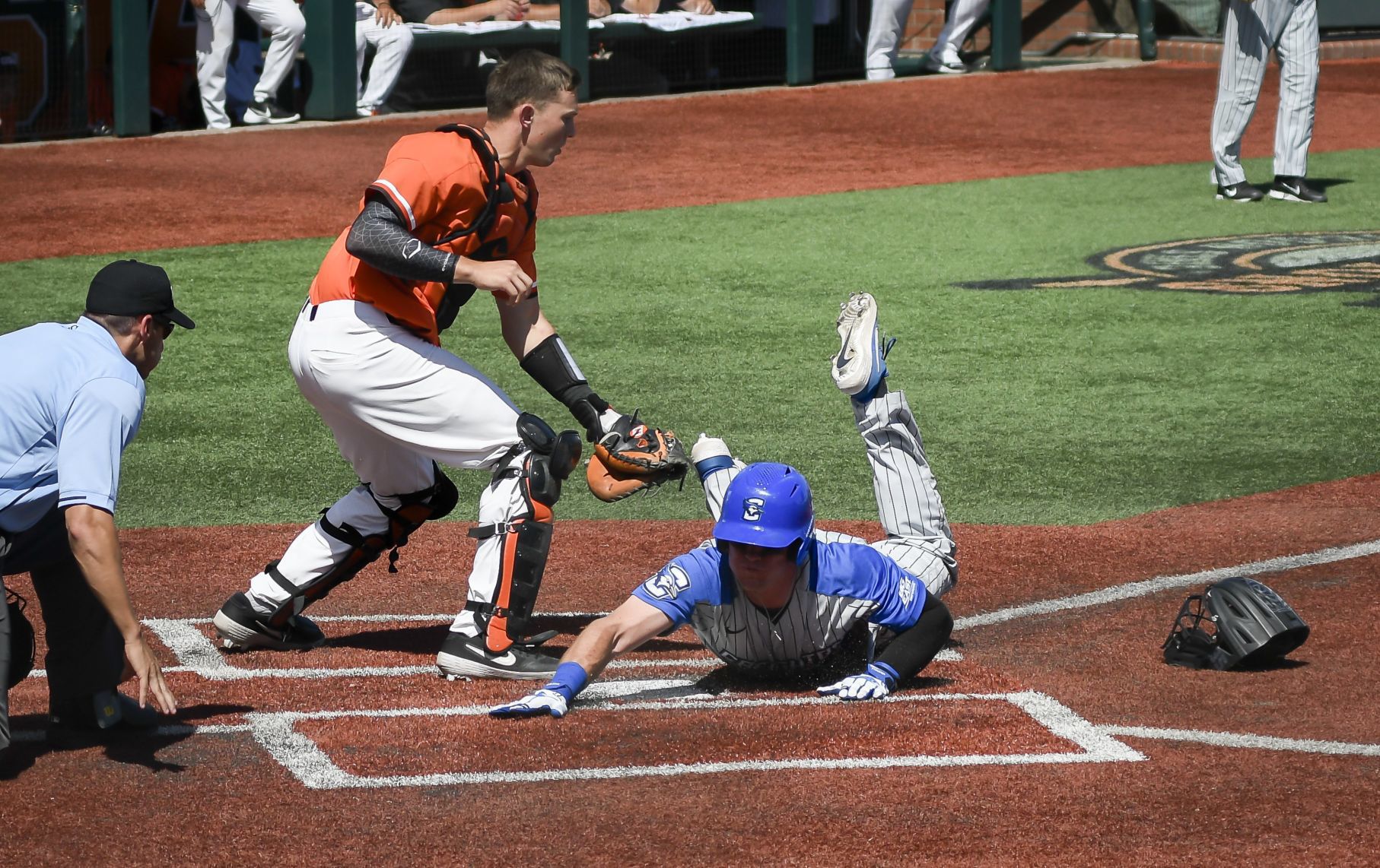 Creighton slide